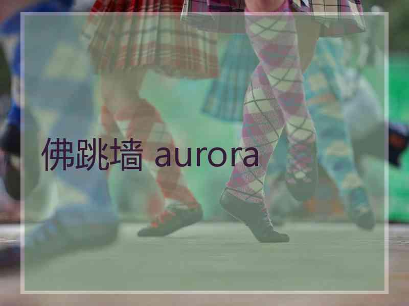 佛跳墙 aurora