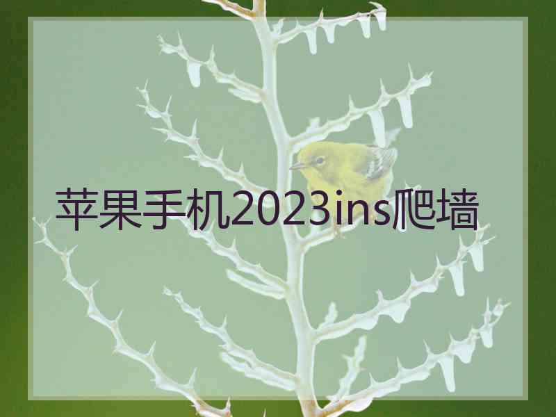 苹果手机2023ins爬墙