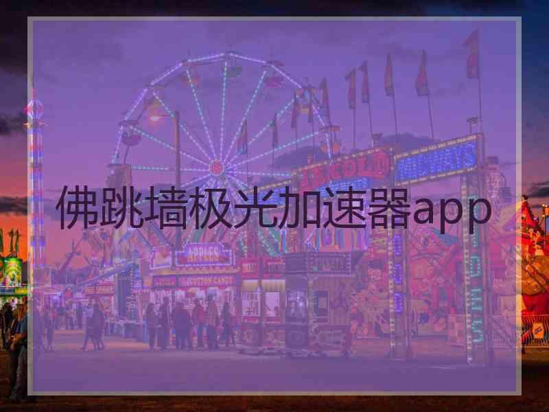 佛跳墙极光加速器app