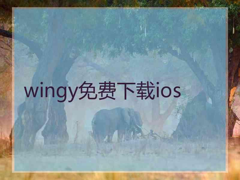 wingy免费下载ios