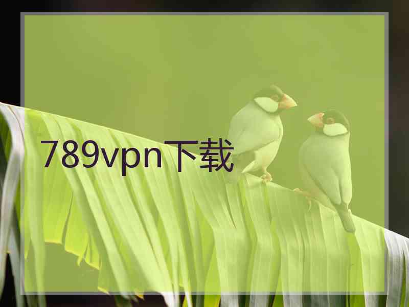 789vpn下载