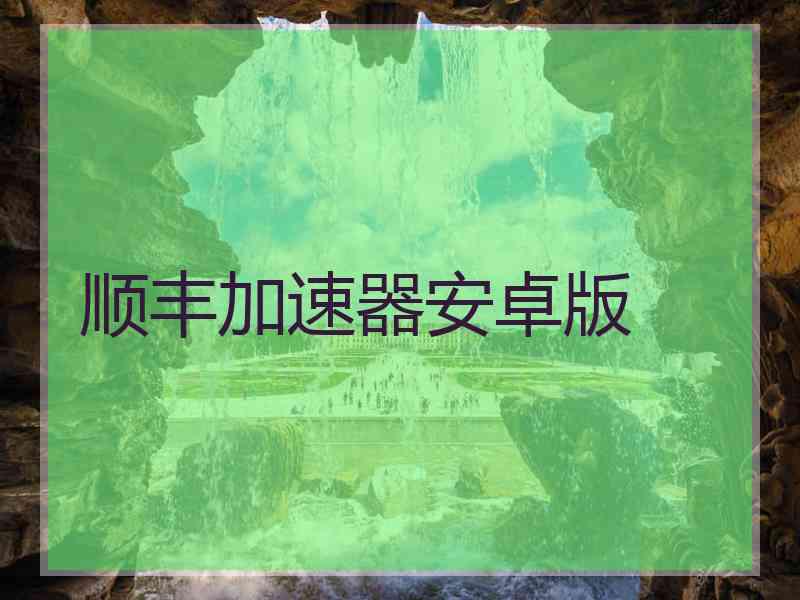 顺丰加速器安卓版