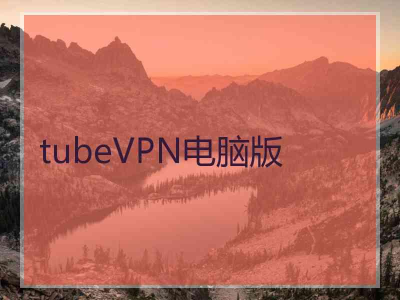 tubeVPN电脑版