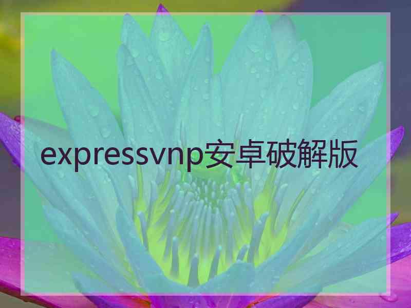 expressvnp安卓破解版