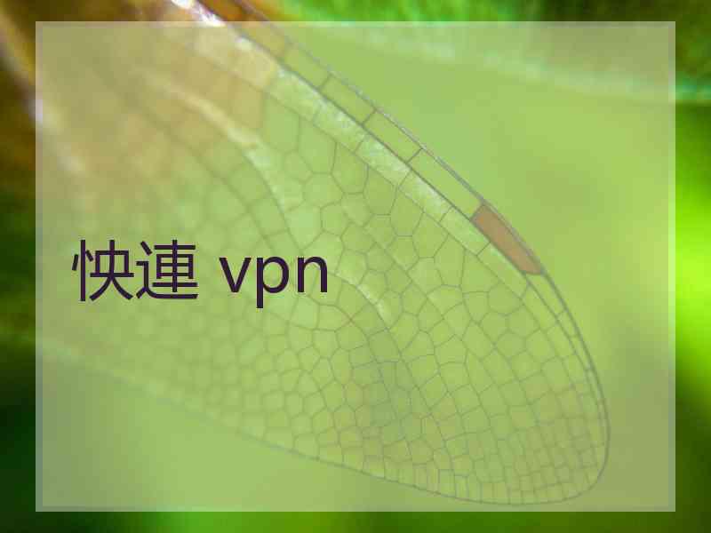 怏連 vpn