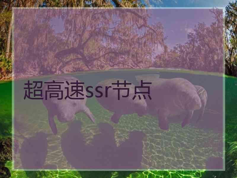 超高速ssr节点