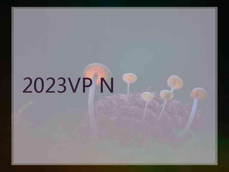 2023VP N