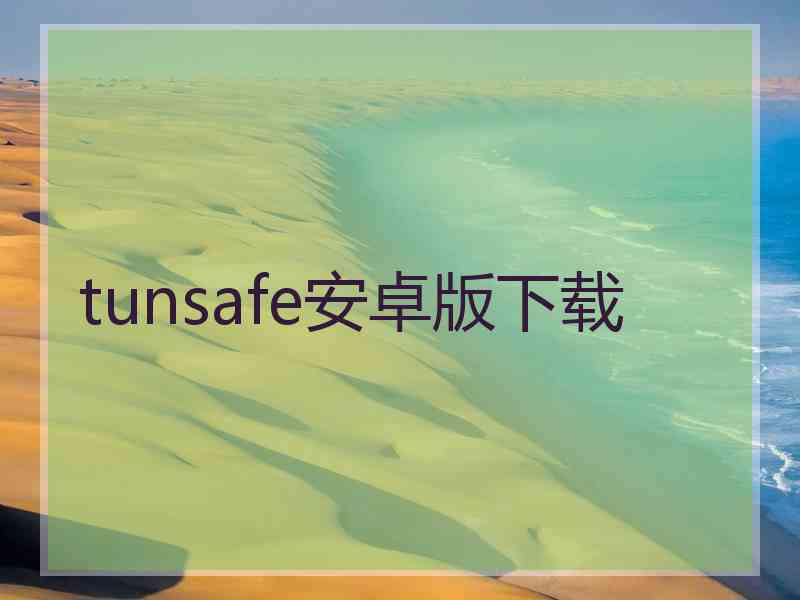 tunsafe安卓版下载