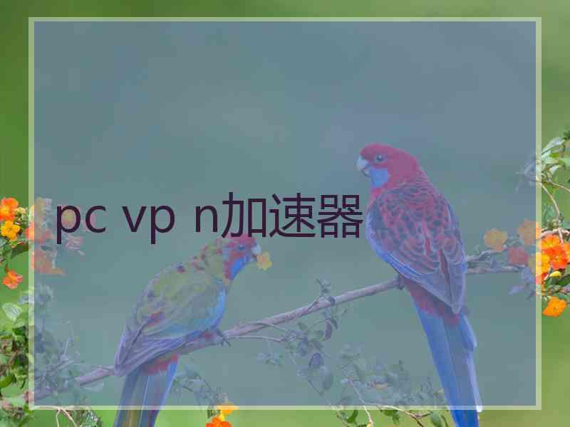 pc vp n加速器