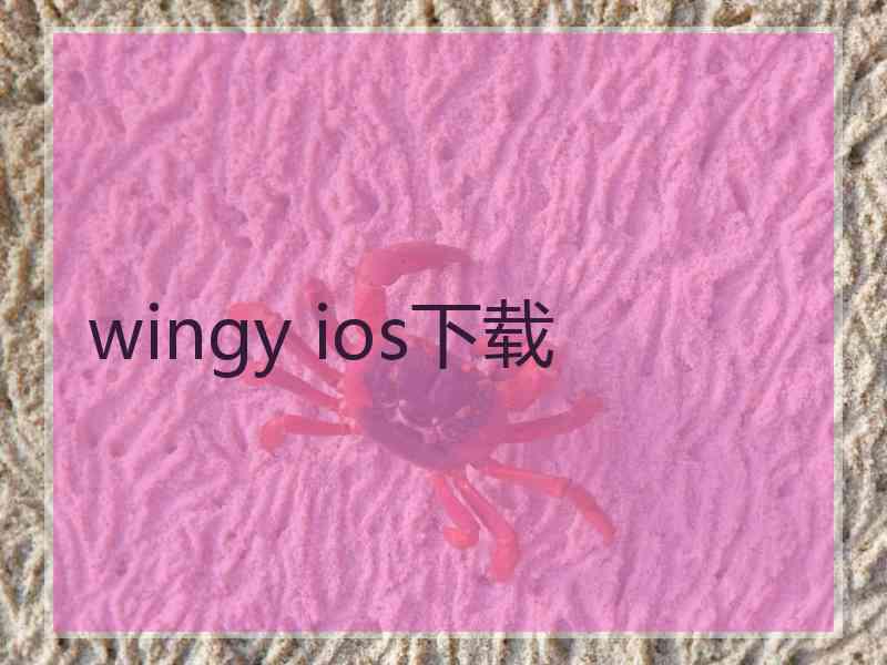 wingy ios下载