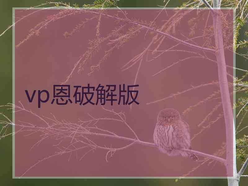 vp恩破解版