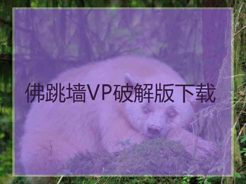 佛跳墙VP破解版下载