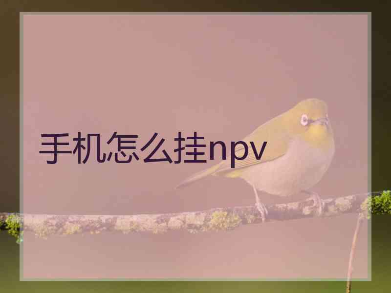 手机怎么挂npv