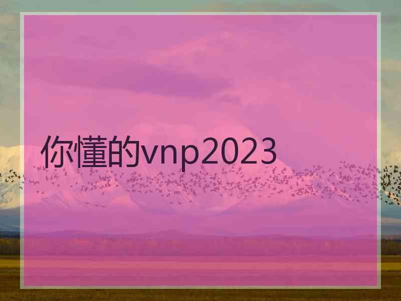 你懂的vnp2023