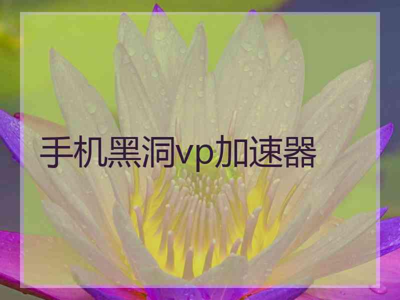 手机黑洞vp加速器