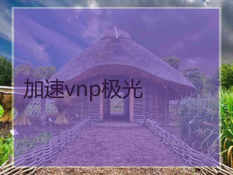 加速vnp极光