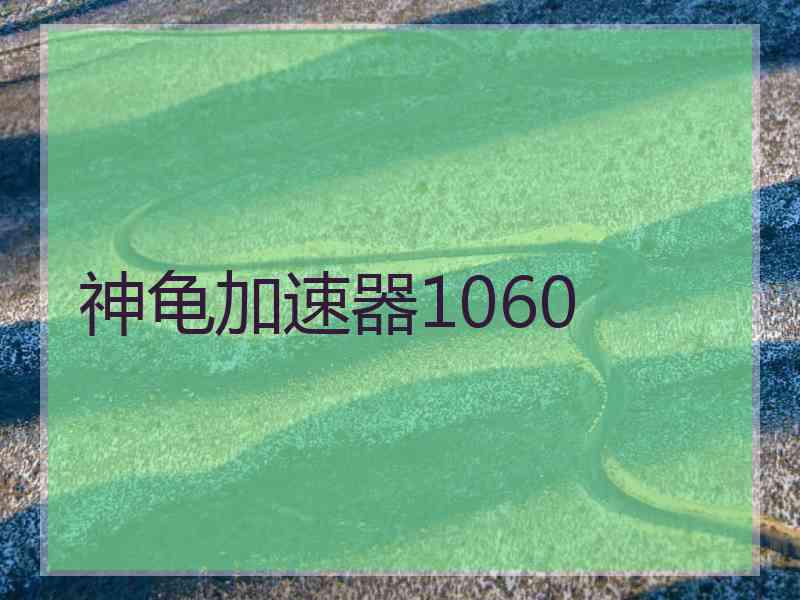 神龟加速器1060