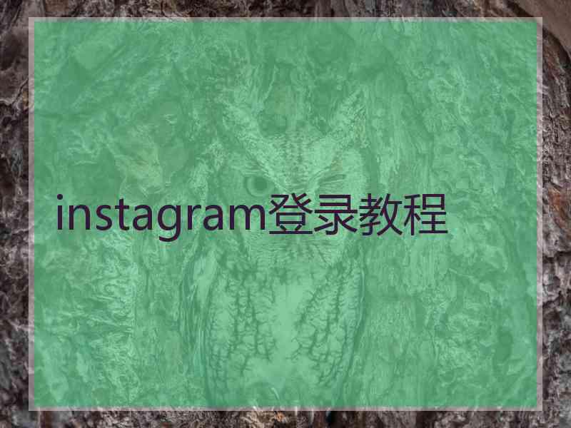 instagram登录教程