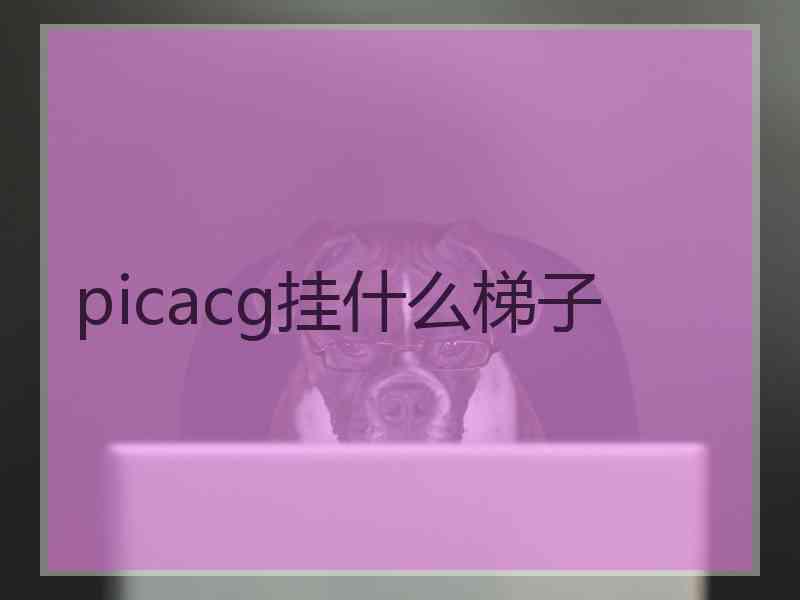 picacg挂什么梯子