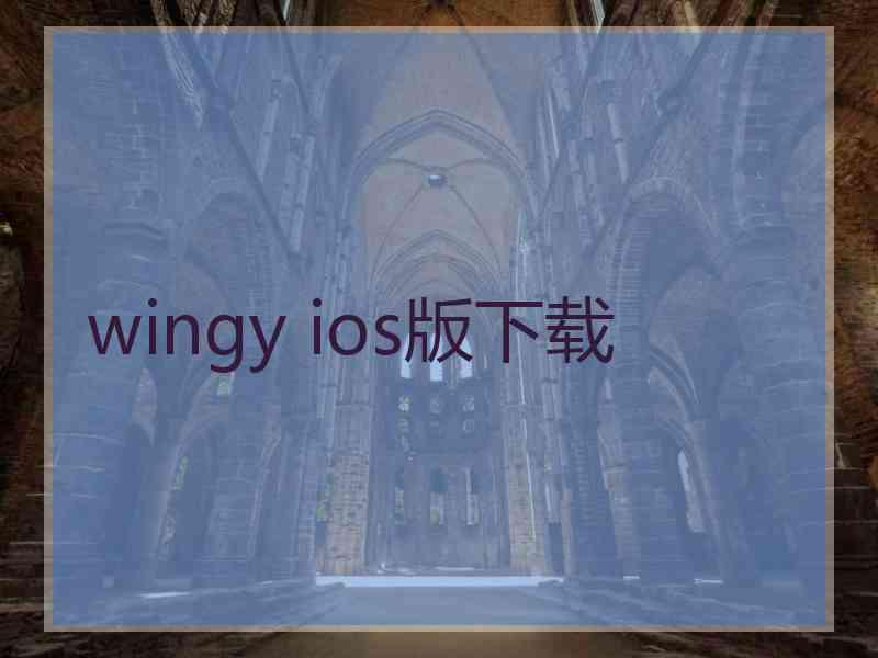 wingy ios版下载