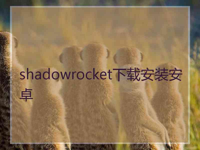 shadowrocket下载安装安卓