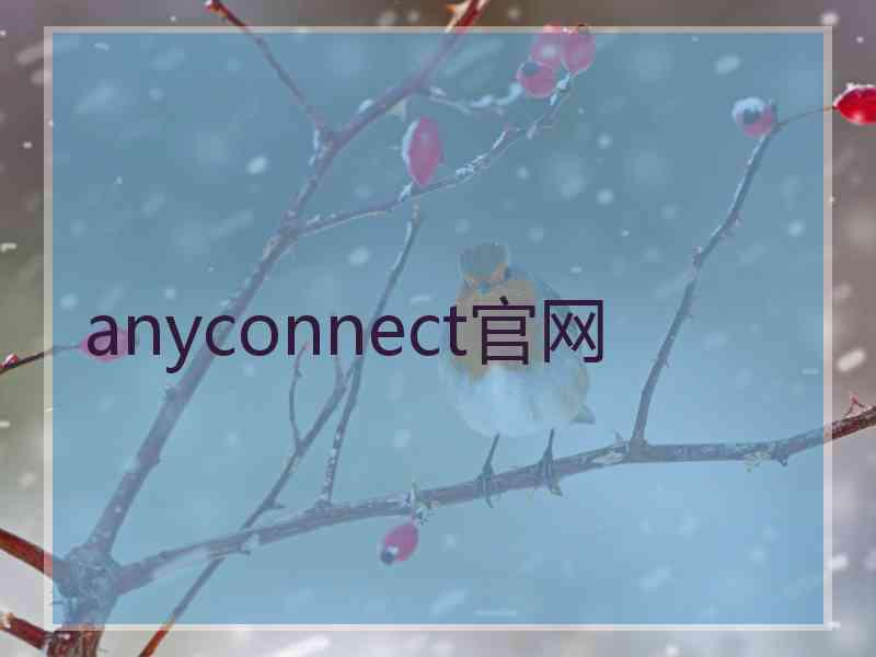 anyconnect官网