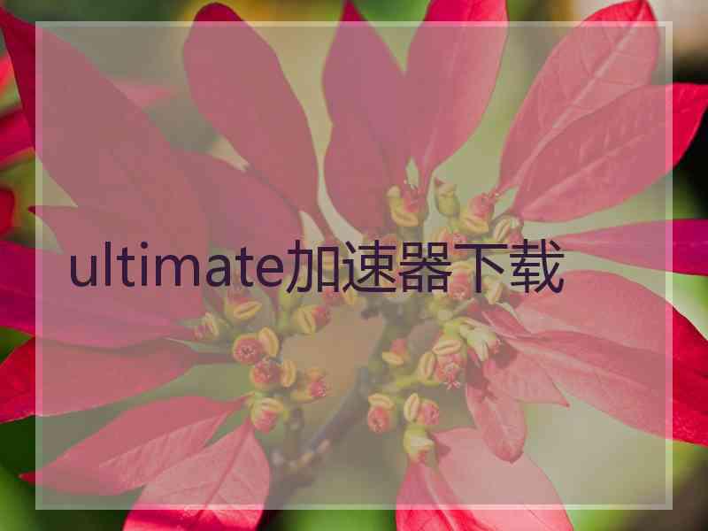 ultimate加速器下载