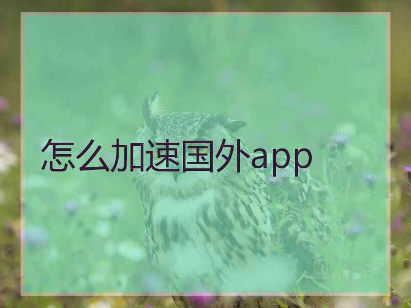 怎么加速国外app