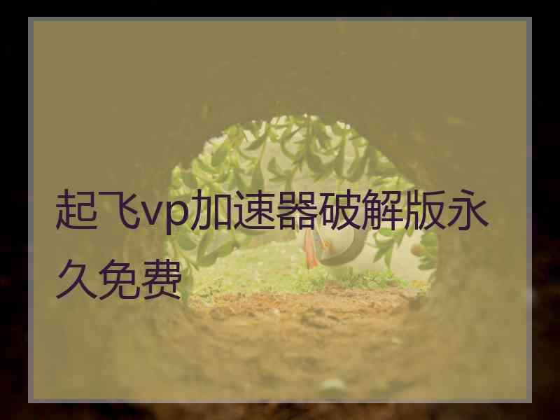 起飞vp加速器破解版永久免费