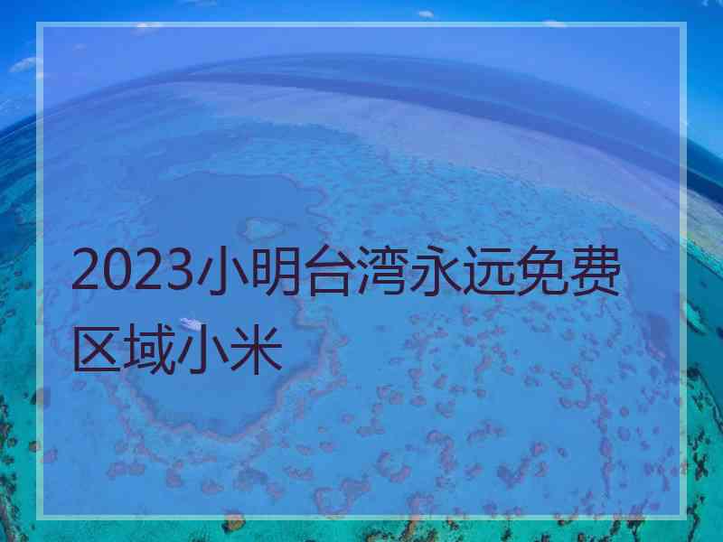 2023小明台湾永远免费区域小米