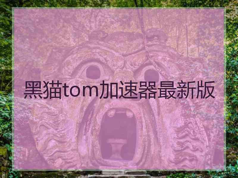 黑猫tom加速器最新版