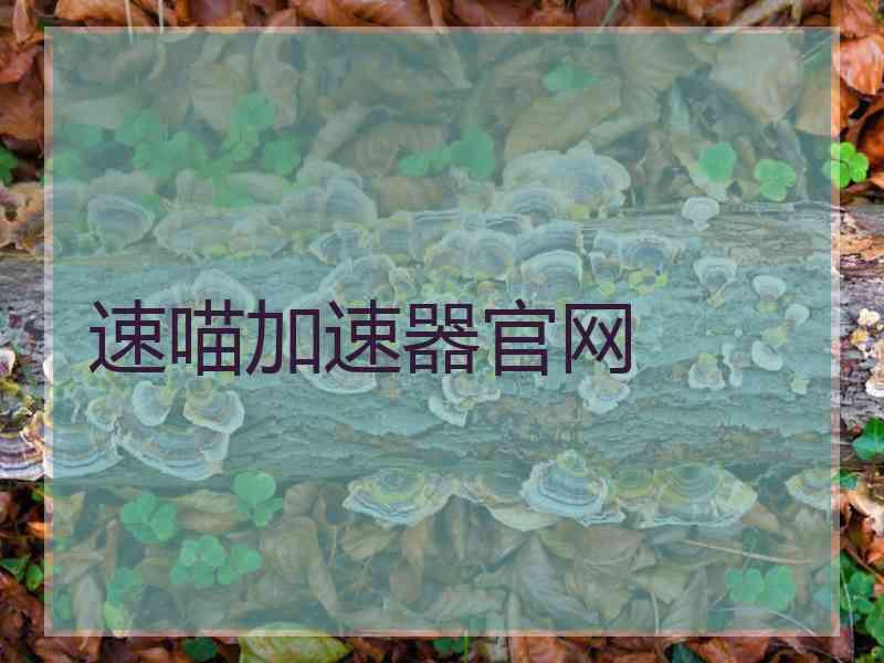 速喵加速器官网