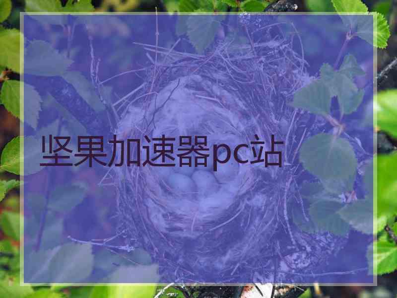 坚果加速器pc站