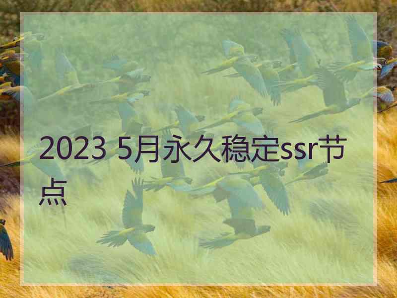 2023 5月永久稳定ssr节点