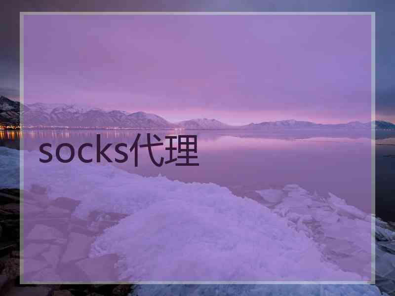 socks代理