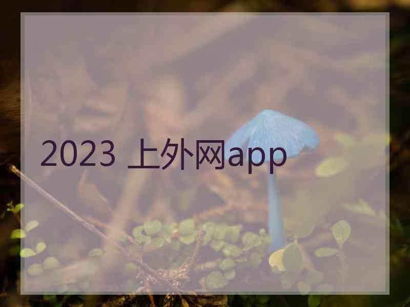 2023 上外网app