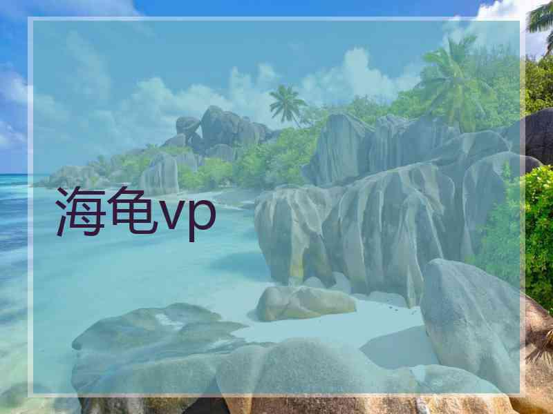 海龟vp