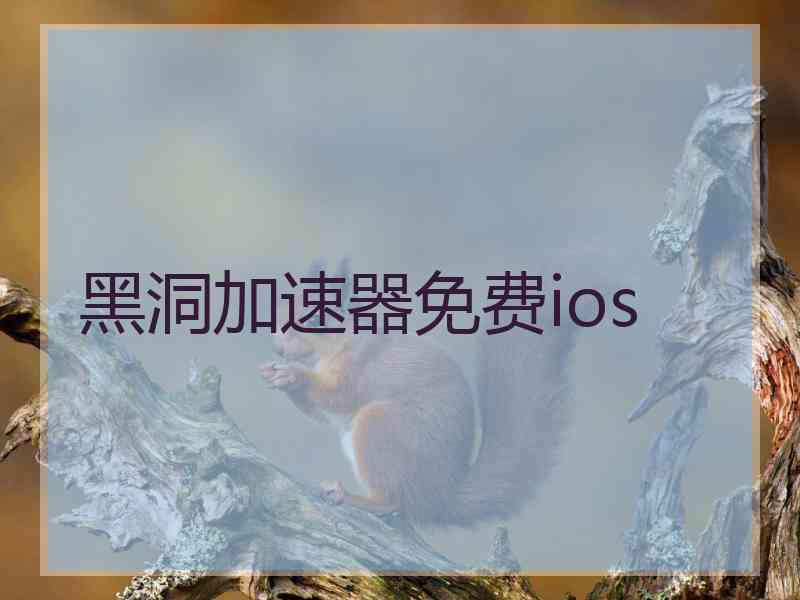 黑洞加速器免费ios