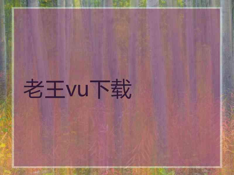 老王vu下载