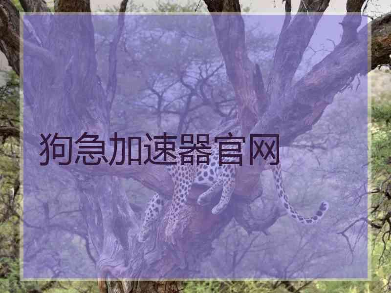 狗急加速器官网