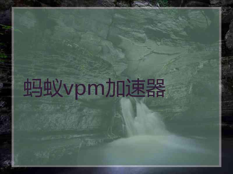 蚂蚁vpm加速器