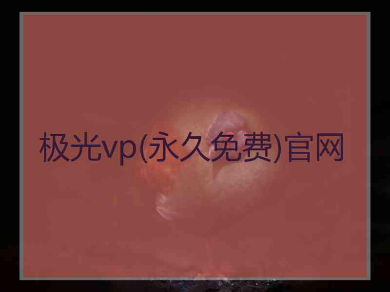 极光vp(永久免费)官网