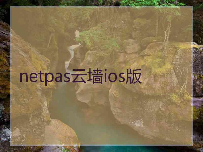 netpas云墙ios版