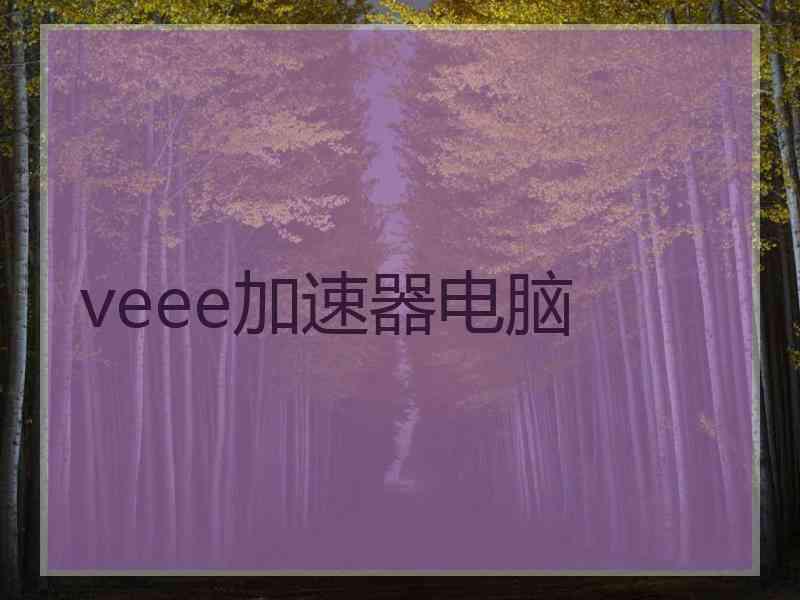 veee加速器电脑