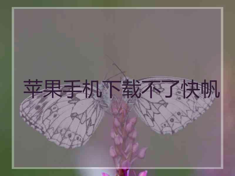 苹果手机下载不了快帆