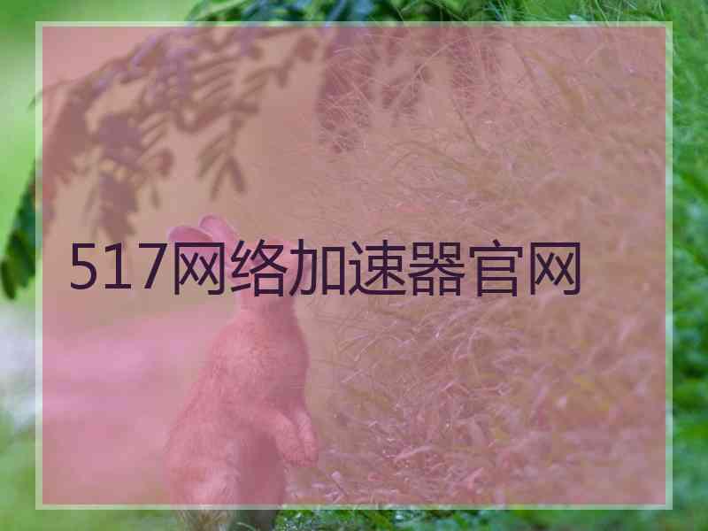 517网络加速器官网