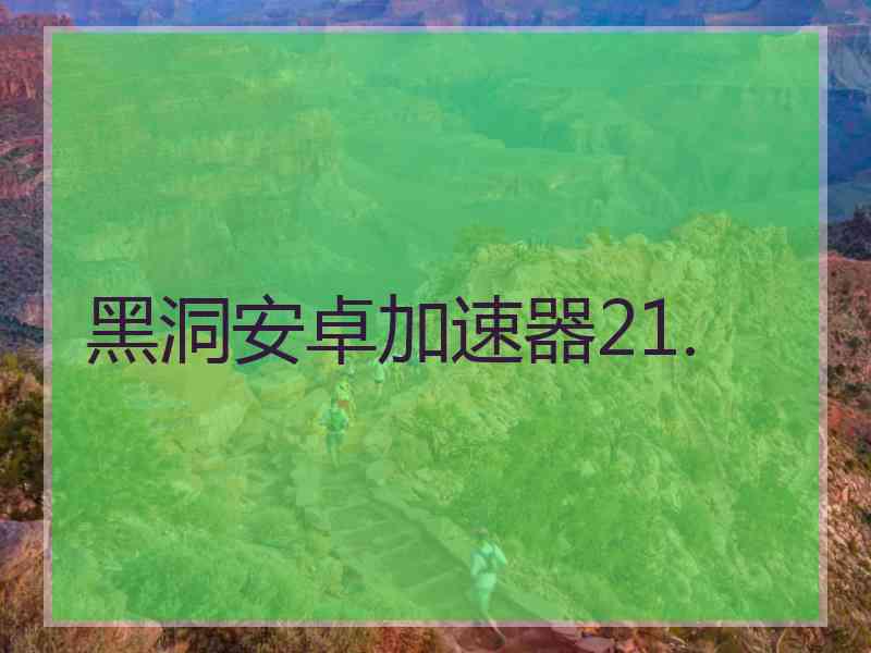 黑洞安卓加速器21.