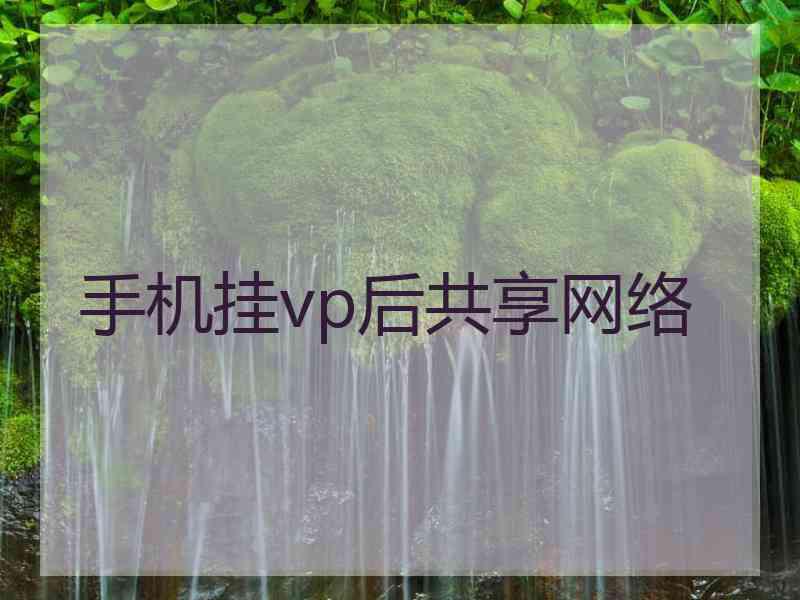 手机挂vp后共享网络