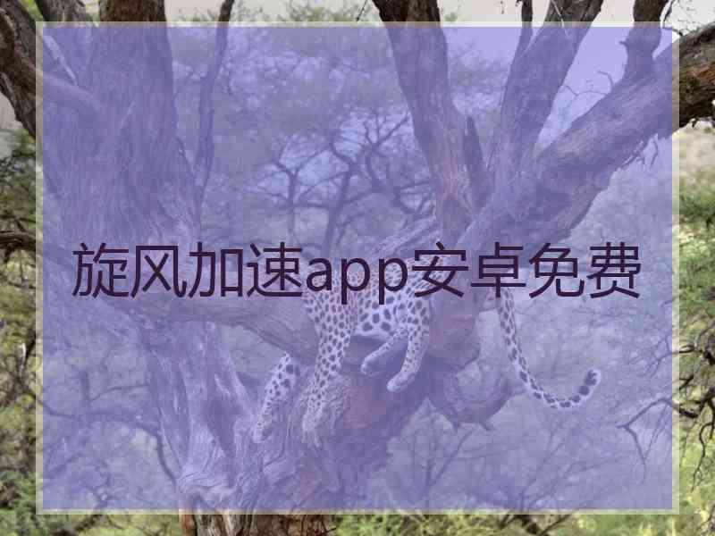 旋风加速app安卓免费