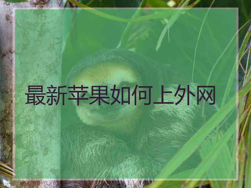 最新苹果如何上外网